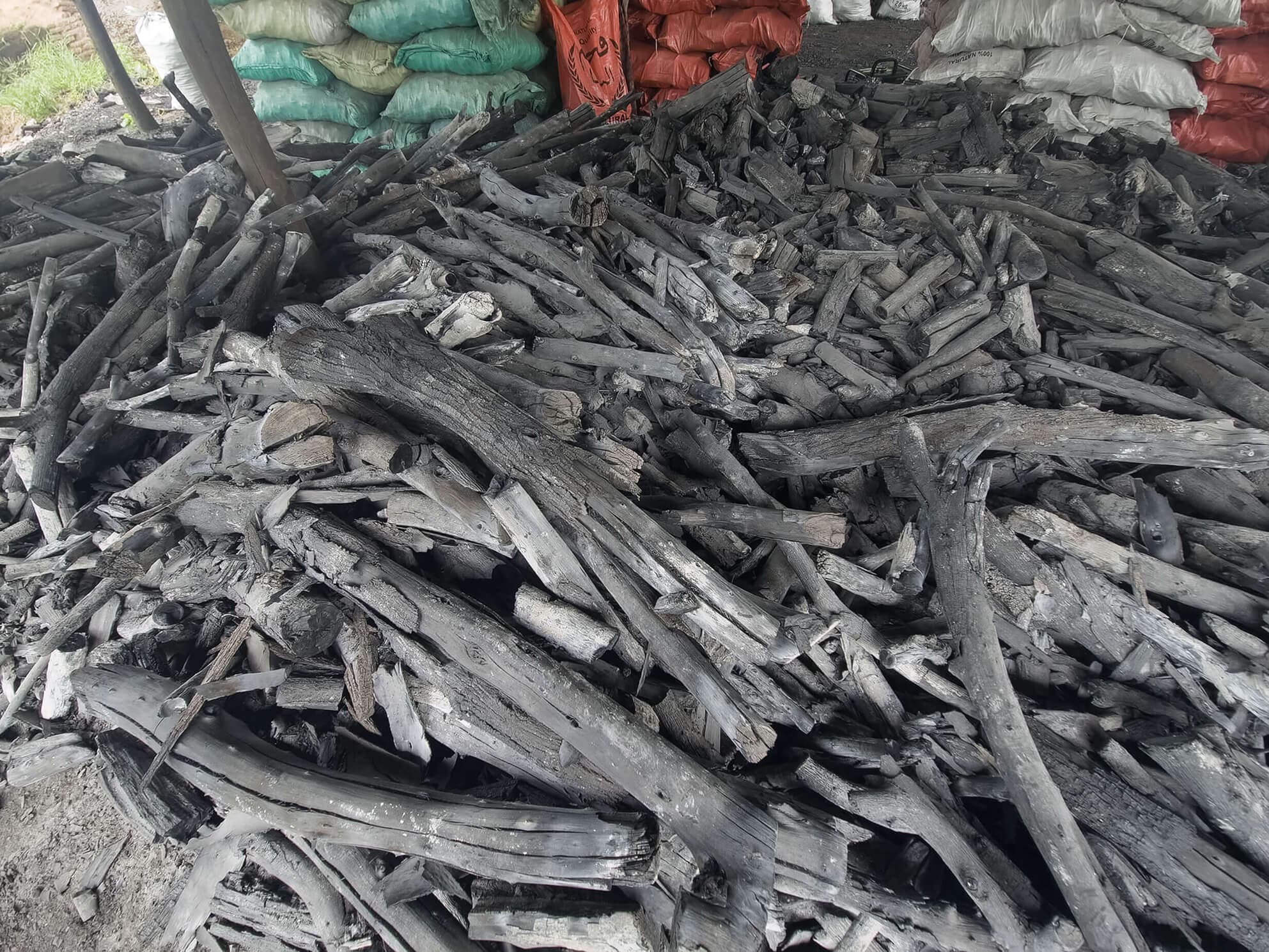Arabica Wood
